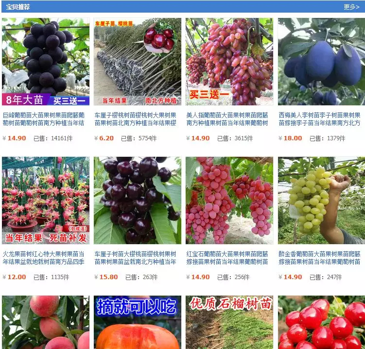 淘宝虚拟开店软件_淘宝软件开店骗局_教淘宝开店是骗局吗