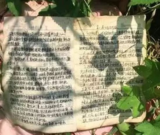 支商是骗局吗_深圳商贷通骗局_明明商骗局视频