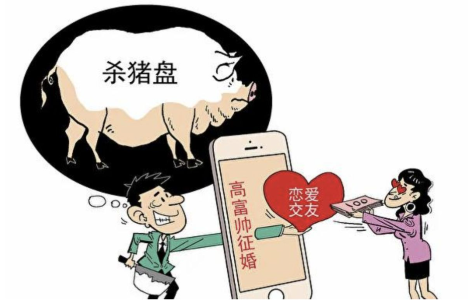 小金理财骗局揭秘_小油菜理财骗局揭秘_p2p理财是骗局揭秘