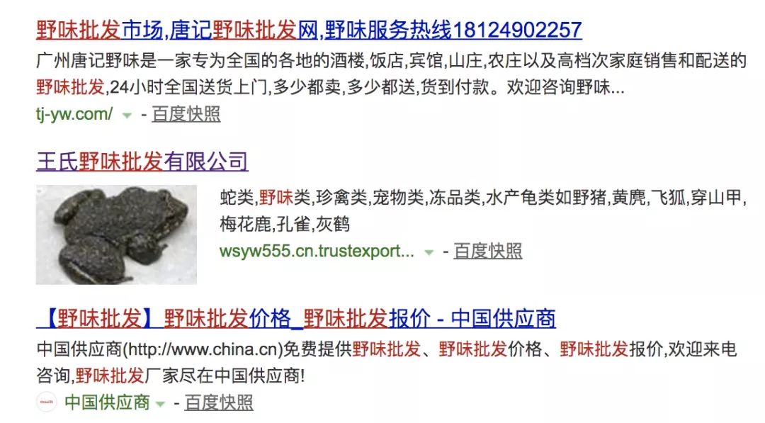 刺猬养殖是骗局_兔子养殖回收是骗局吗_刺猬养殖骗局