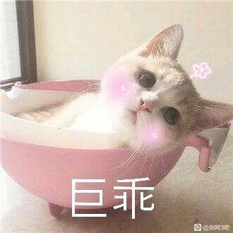 闲鱼防骗卖家_闲鱼买二手笔记本防骗_闲鱼交易卖家防骗
