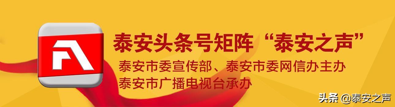 儒房地产招聘骗局_儒房地产骗局_儒房地产是骗局吗