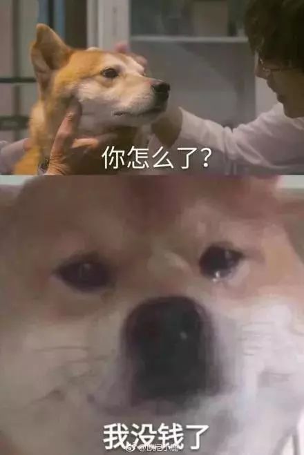 团购机票骗局_微赢团购商城骗局_淘宝团购骗局