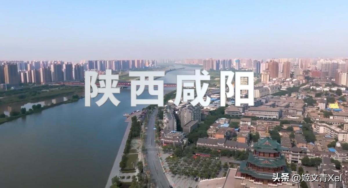 气功元气袋_505神功元气袋的用法_大地保健品骗局