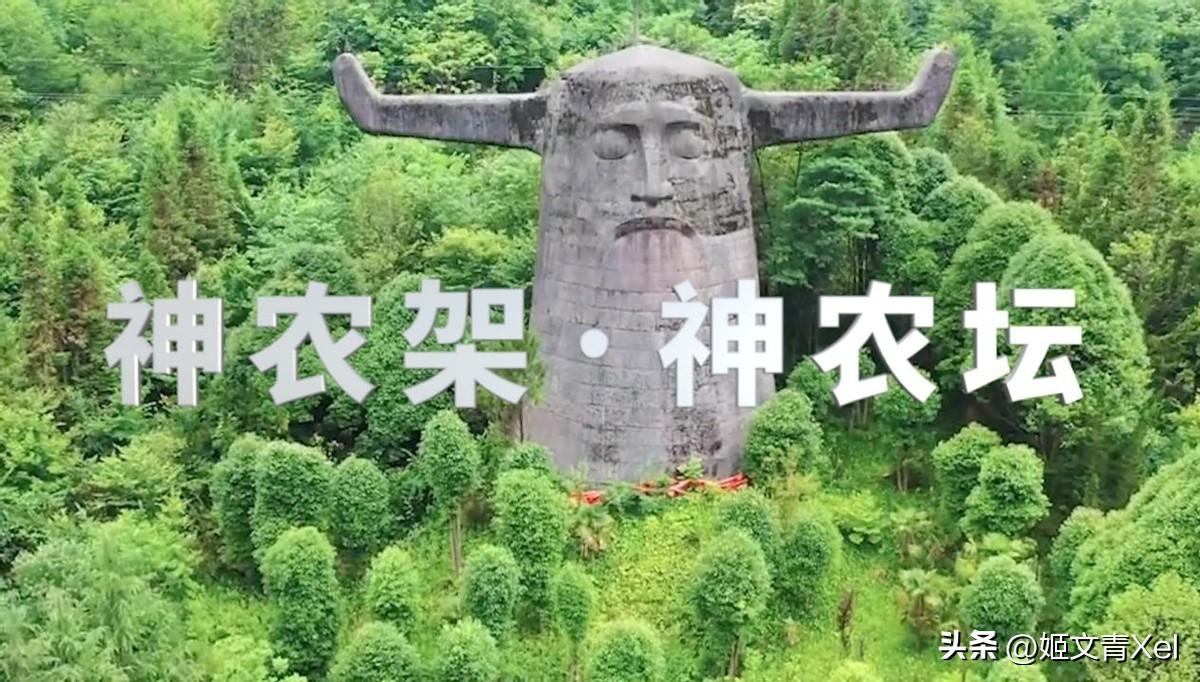 气功元气袋_大地保健品骗局_505神功元气袋的用法