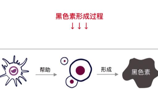 珍珠美白层粉_珍珠粉美白是骗局吗_珍珠粉美白骗局