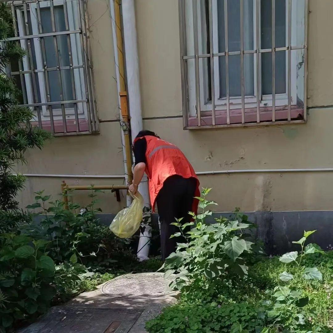 丢钱包骗局_丢钱包骗术_丢钱包套路