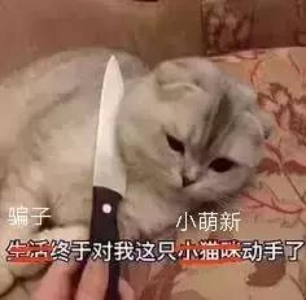 校园贷骗局_校园贷诈骗案_校园贷骗术