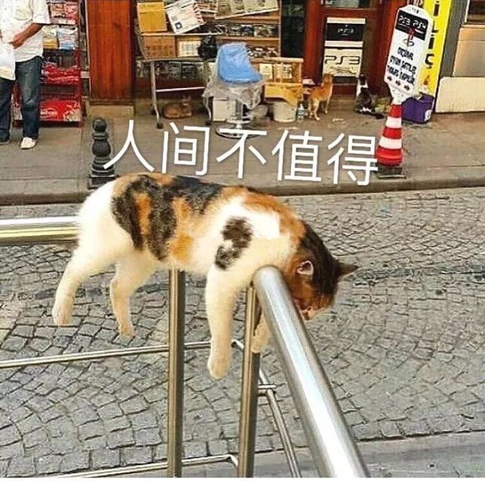 平衡套减肥 骗局_平衡套减肥原理_减肥平衡液有用吗