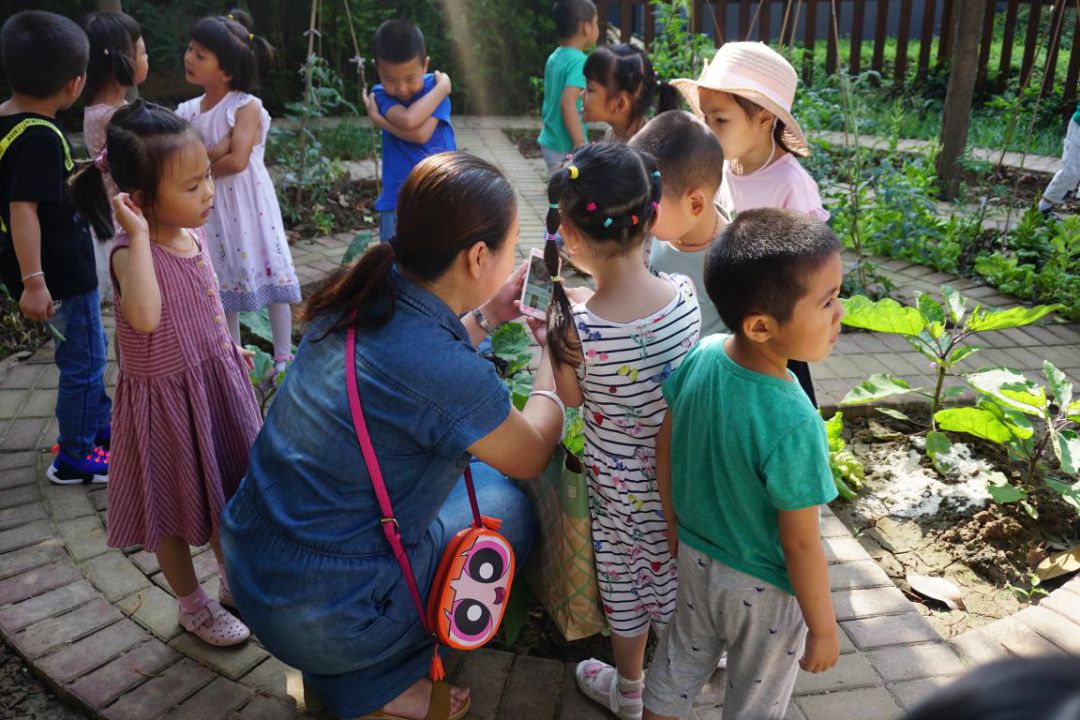 幼儿防骗_防骗幼儿园教案_防骗幼儿园安全防骗小视频