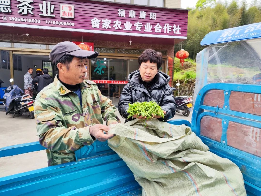 交易平台骗术_e交易骗局_交易平台被骗