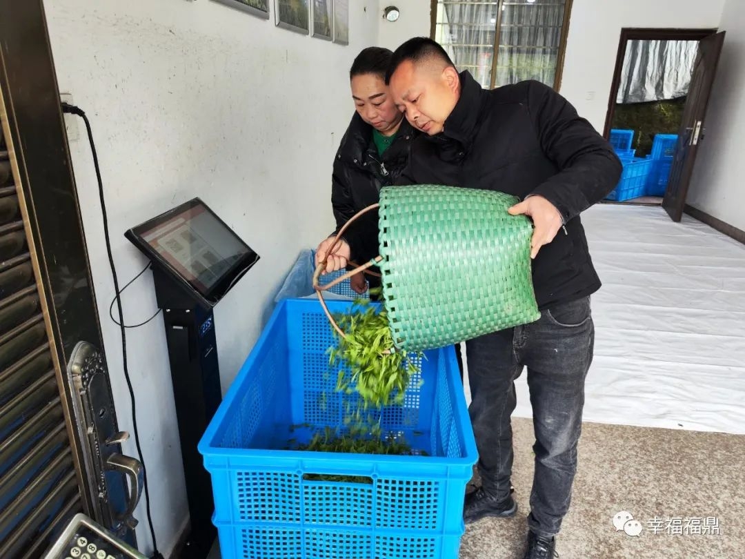交易平台被骗_e交易骗局_交易平台骗术
