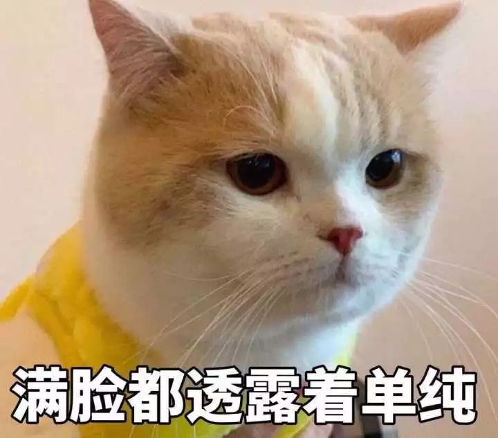 广州市公安局网警支队电话号码_广州市公安局发布的网购防骗注意事项_广州公安网警联系方式