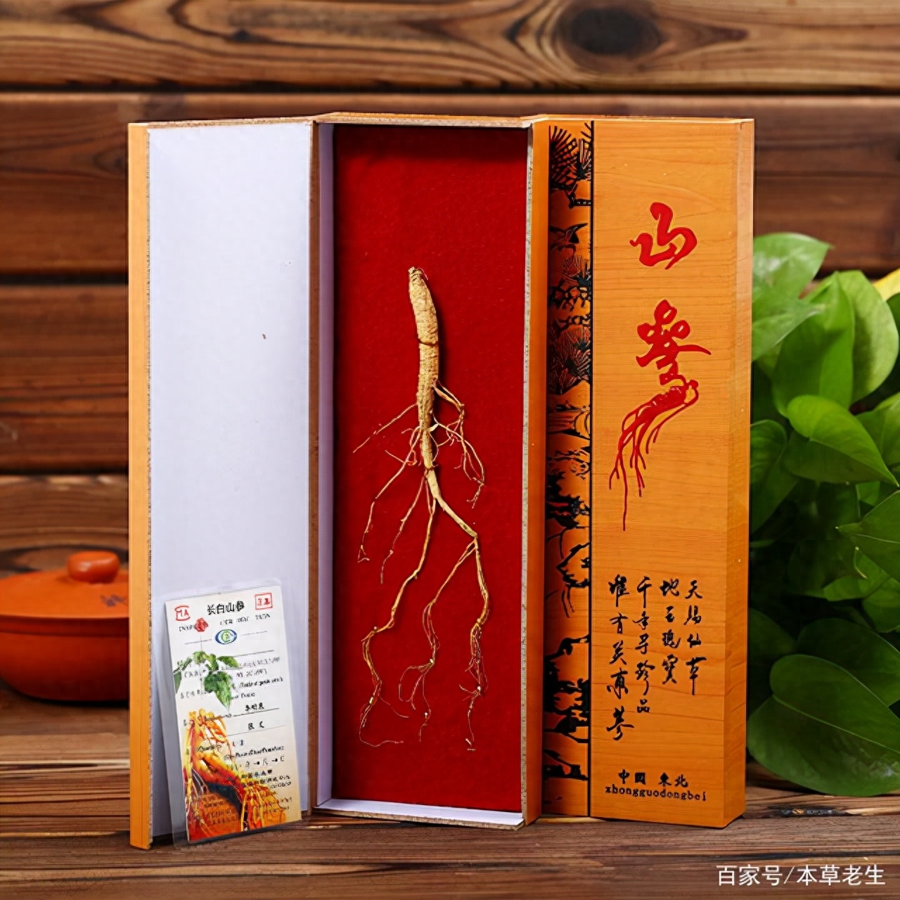 人参肽传销骗局_人参肽骗局_人参肽多少钱一盒骗局