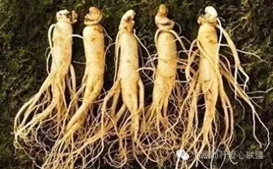 人参肽是不是假的_人参肽骗局实例_人参肽骗局