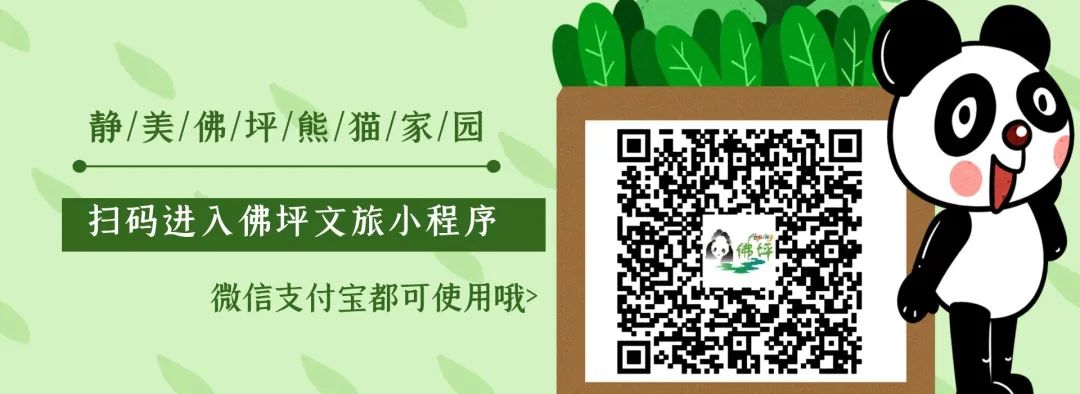 熊猫骗局旅游是真的吗_熊猫旅游是骗局_熊猫旅游专