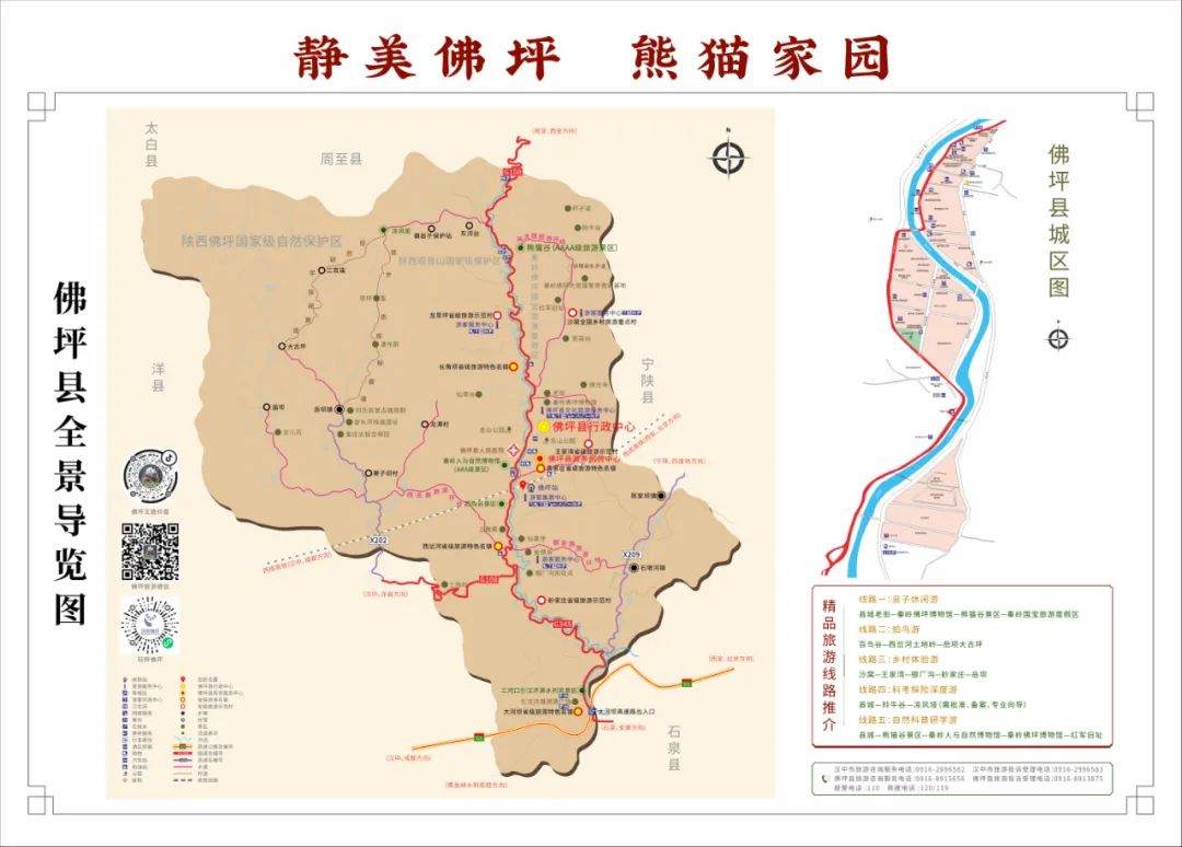 熊猫旅游专_熊猫旅游是骗局_熊猫骗局旅游是真的吗