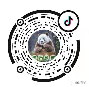 熊猫旅游专_熊猫旅游是骗局_熊猫骗局旅游是真的吗