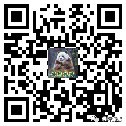 熊猫旅游专_熊猫旅游是骗局_熊猫骗局旅游是真的吗