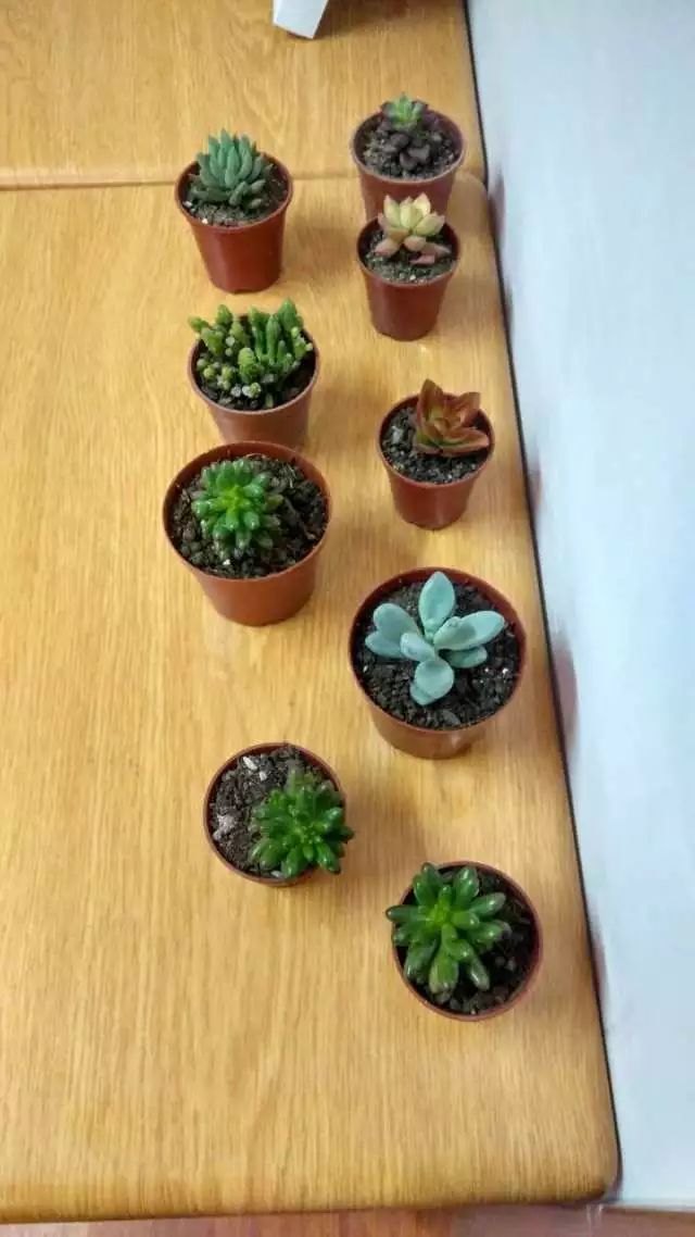 大学防骗指南_大学防骗讲座听后感_大学防骗