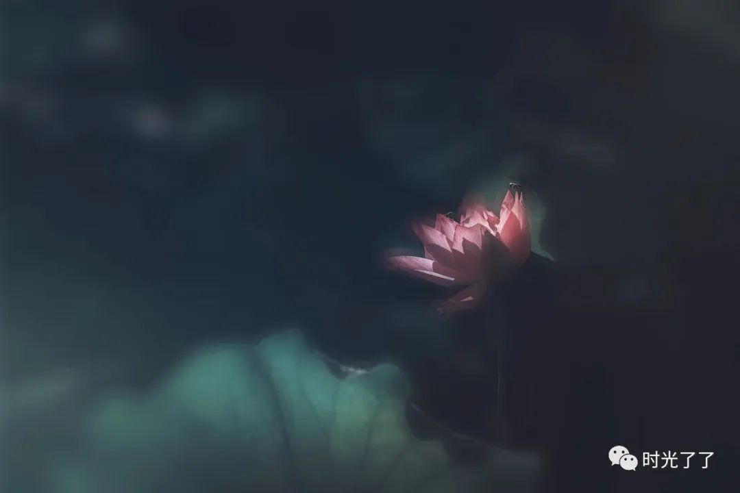 感情骗局男的共性_感情骗术套路男子骗术_骗感情的团伙叫什么