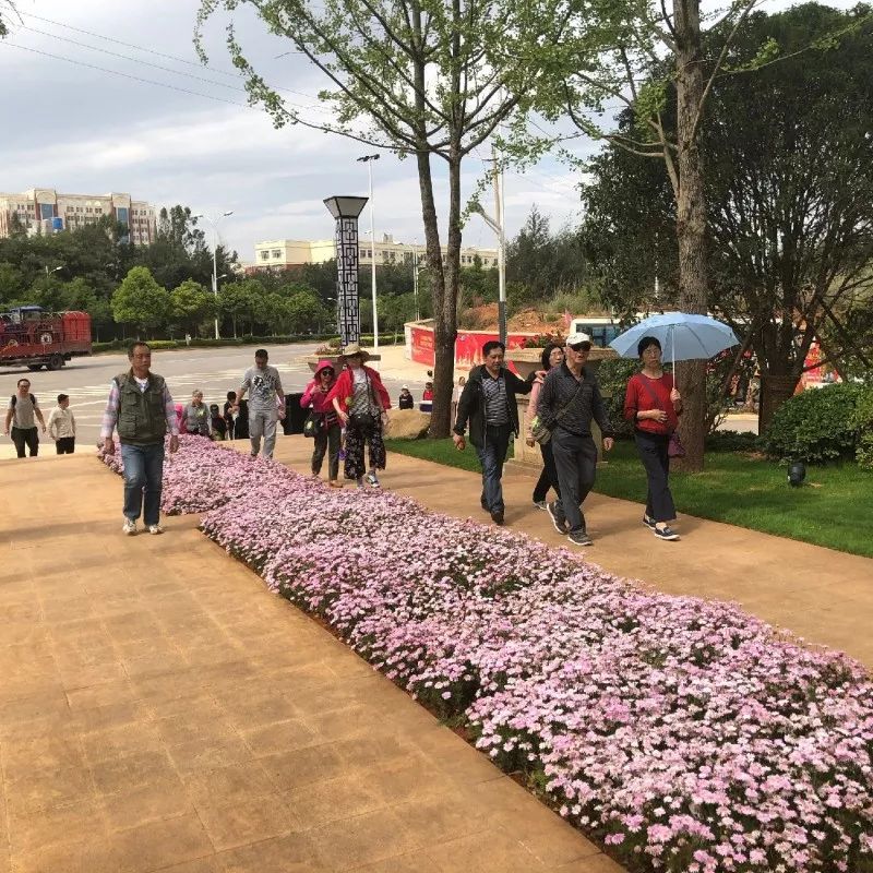 俊发空港城户型图户型图_俊发空港城是骗局_俊发空港城二期开盘价