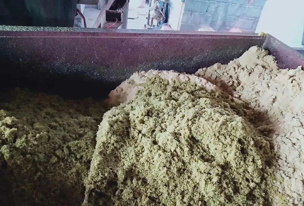 俄罗斯饲料菜种植骗局_饲料俄罗斯骗局种植菜怎么处理_俄罗斯饲料菜种子骗局